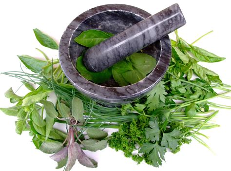 Medicinal Herbs Safety Guidelines Uses And Issues