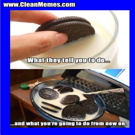We scoured the internet for funny memes, counted likes, combined results and compared them. HILARIOUS MEMES CLEAN image memes at relatably.com