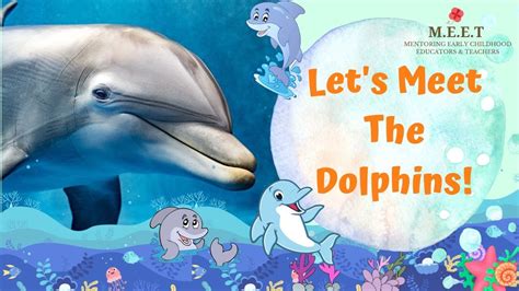 Lets Learn About Dolphins Preschool Learning Videos Sea Animals