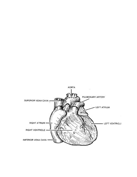 The Cardiovascular System Cardiac Impairment