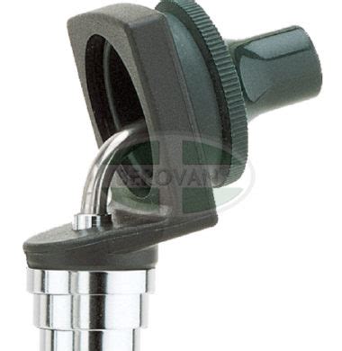 It is firm, but bendable, and it is covered by skin that has a rich supply of blood vessels. ENT Diagnostics | Berovan - Part 2