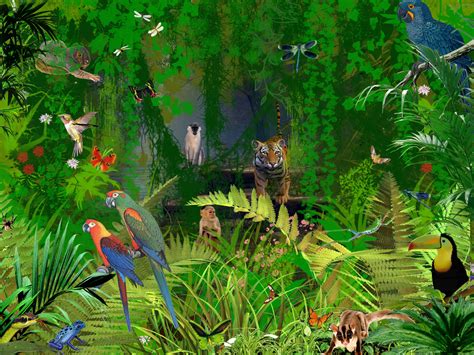 Jungle Animal Wallpaper Wallpapersafari