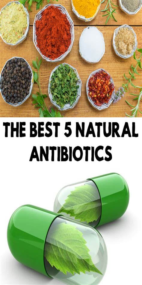 The Best 5 Natural Antibiotics Natural Antibiotics Natural Remedies