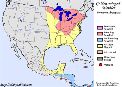 Golden Winged Warbler Species Range Map