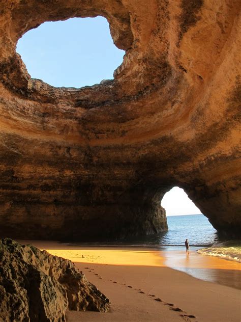 Beautiful Sea Cave Algarve Animal Photo