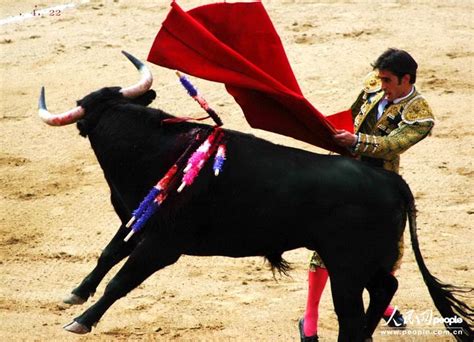 高清：西班牙“斗牛”日薄西山 国际 人民网