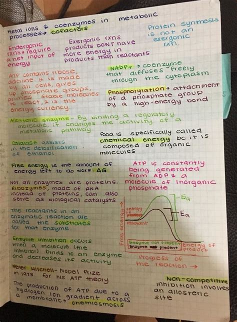 Notes From The 11th Grade Biology Notes Medical Student Study