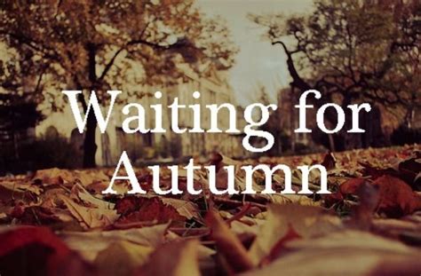 Pin By K A S E Y 🎃🕸💀🍁🔪 On Autumn Fall In 2020 September Quotes