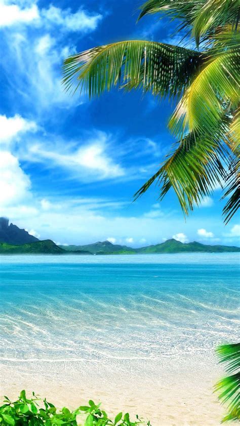 Download Tropical Island Blue Sky Wallpaper