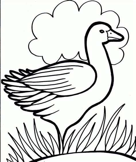 Kids Colouring Coloring Pages To Print
