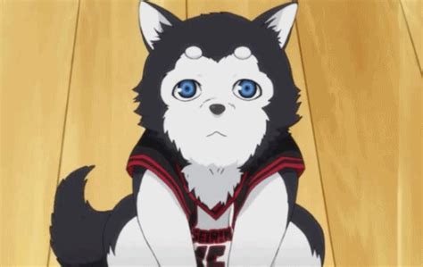 Anime Puppy 
