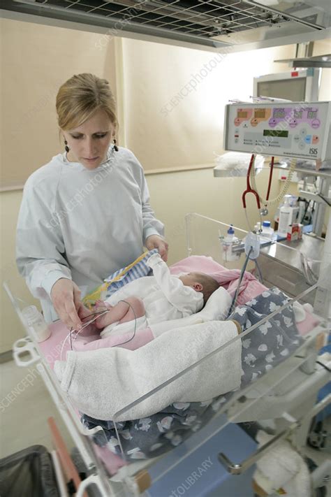 Resuscitation Newborn Baby Stock Image C0153820 Science Photo
