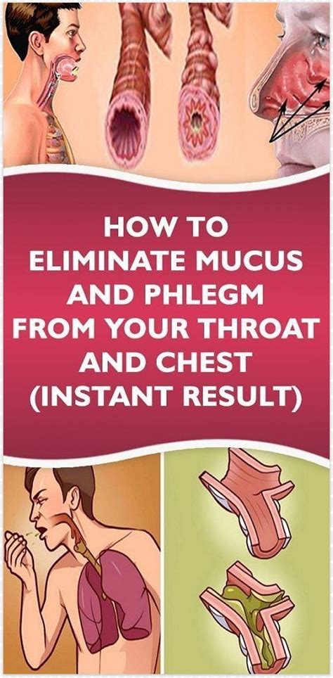 How To Eliminate Mucus And Phlegm From Your Throat And Chest Instant