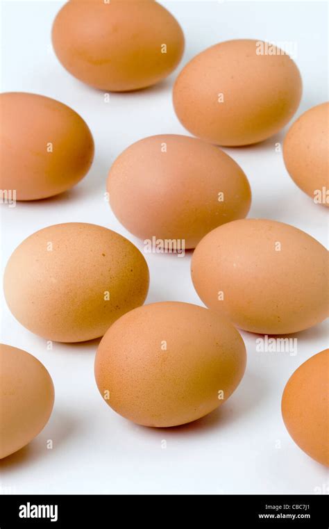 A Group Of Brown Hens Eggs Against A White Background Stock Photo Alamy