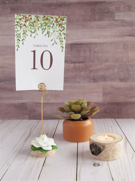 Birch Wedding Table Number Holder With White Flower Etsy