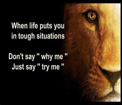 Like A Strong Lion Quotes Quotesgram