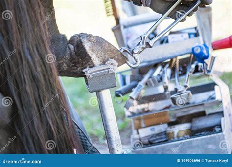Farriers Tools Stock Photo 11349198