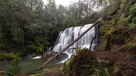 Waterfalls Of Tasmania