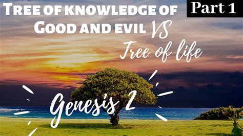 Tree Of Life Vs Tree Of Knowledge Of Good And Evil True Meaning Youtube