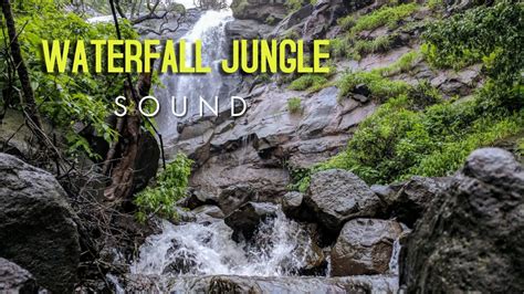Relaxing Nature Waterfall Jungle Sounds Singing Birds Mind Relaxation
