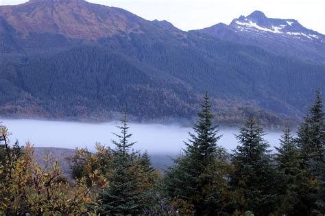 Biden Ends Large Scale Logging On Tongass Juneau Empire