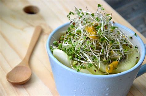 Grow Insanely Healthy Broccoli Sprouts At Home Easiest Method — Max