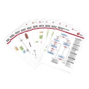 Looking to improve your acls skills? ACLS Provider Manual (2020 AHA Guidelines) #20-1106 | LifeSavers, Inc.