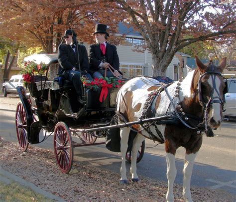 Carriage Rides At The Stansbury Home In December Horses Riding Animals