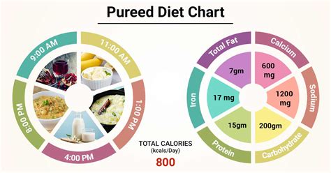 Diet Chart For Pureed Patient Pureed Diet Chart Lybrate