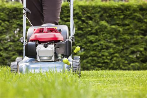 Resolve To Maintain A Healthy Lawn In 2016 Wtop