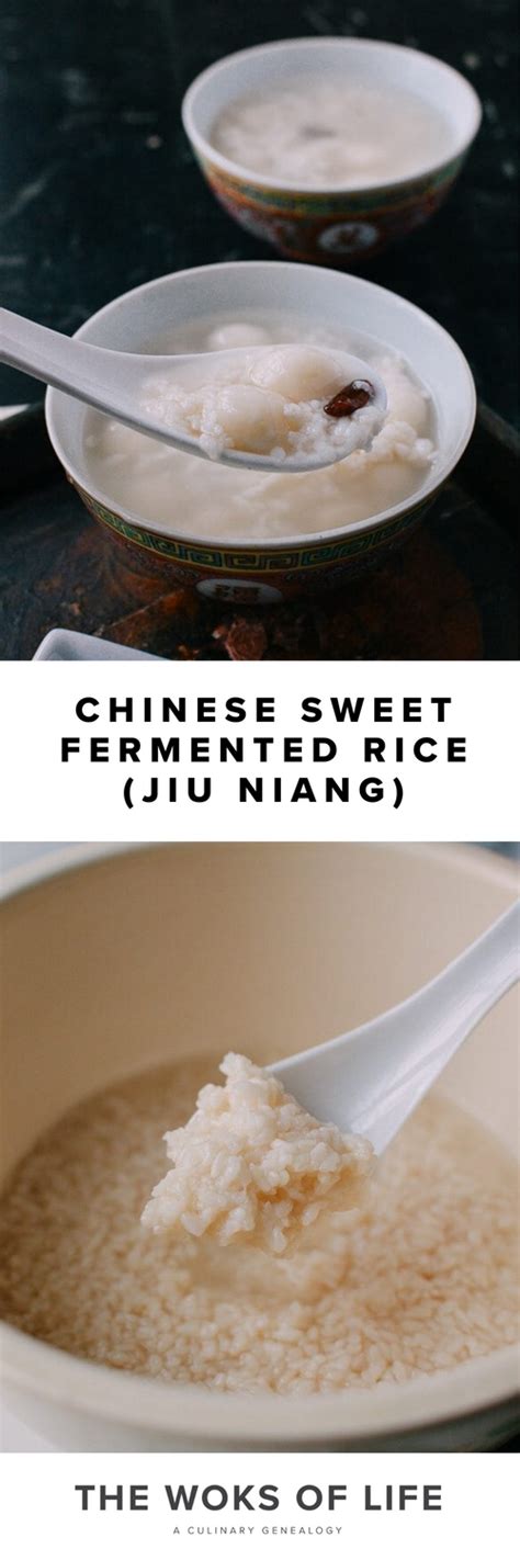 Sweet Fermented Rice 酒酿 Jiu Niang The Woks Of Life Recipe