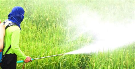How To Improve Pesticide Spraying Demotix