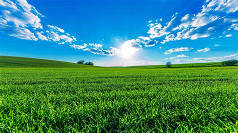 🔥 Download Wallpaper Green Fields Blue Sky Clouds Sun Beautiful Summer