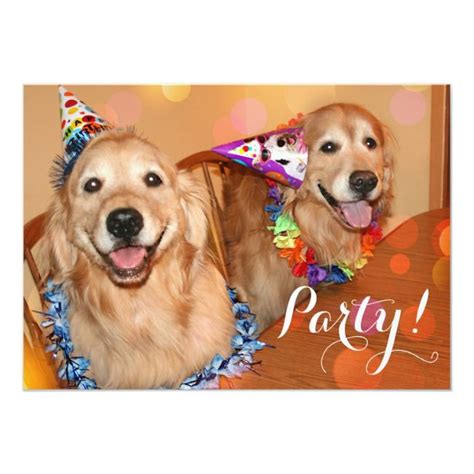 If you are unable to find your golden retriever puppy in our puppy for sale or dog for sale sections, please consider looking thru thousands of golden retriever dogs for adoption. Happy Golden Retriever Dogs Birthday Party Invitation | Zazzle.com (With images) | Dog birthday ...