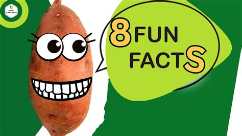 8 Fun Sweet Potato Nutrition Facts You Didn T Know Youtube