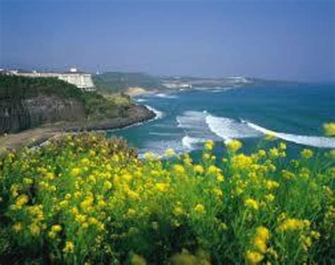 Jeju is both an island and a province in south korea, even though it is more commonly known as jeju island or jejudo. Jeju Island 2019: Best of Jeju Island Tourism - TripAdvisor