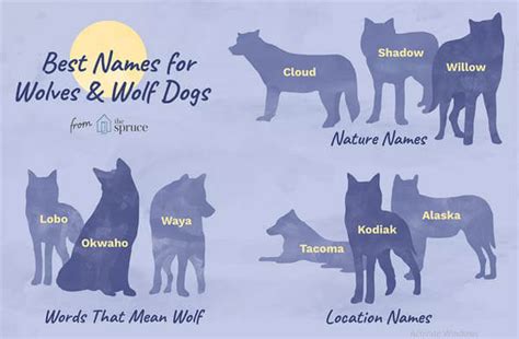 Unique Puppy Names √ Dogica Mythology Chinese Greek Japanese Mutt