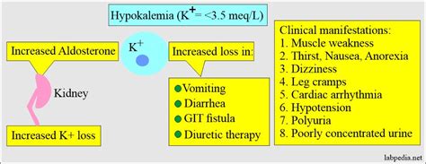 Potassium K In Blood And Its Significance
