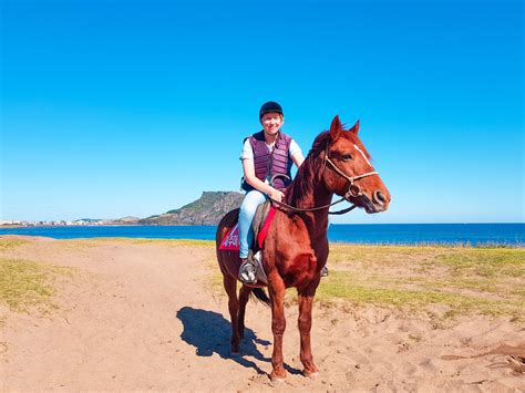 horse riding  jeju full guide    places   horse riding