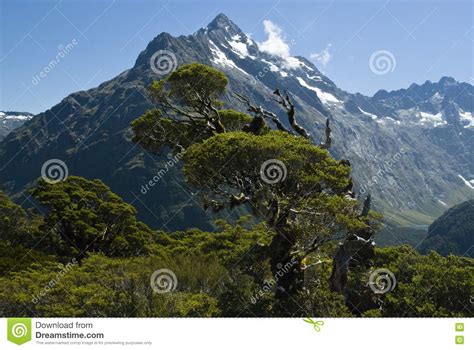 New Zealands Southern Alps Stock Photography Image 6814632