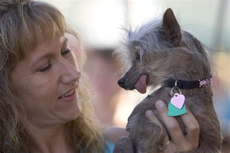 Zsa Zsa Winner Of The Worlds Ugliest Dog Contest Suddenly Dies Now
