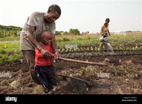A Farmer Teaches His Young Son To Hoe In Mongu Zambia Southern Africa