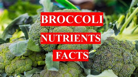 Broccoli Health Benefits And Nutrients Facts Youtube