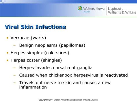 Ppt Chapter 46 Disorders Of Skin Integrity And Function Powerpoint