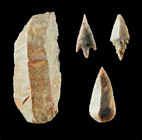 Neolithic Flint Tools Photograph By Geoff Kiddscience Photo Library