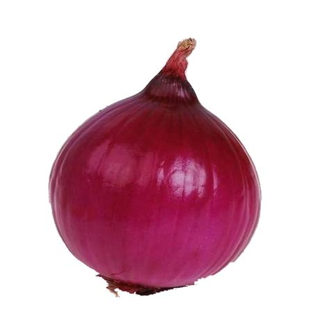 Red onion Food Vegetable - onion png download - 2953*2953 - Free png image
