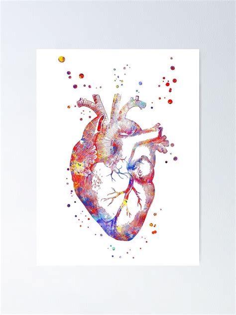 Human Heart Heart Anatomy Medical Art Watercolor Heart Heart Print