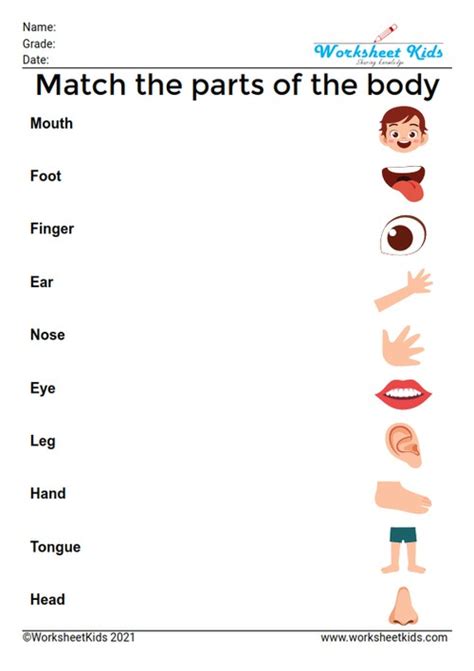 Parts Of The Body Matching Worksheet Worksheets For Kindergarten