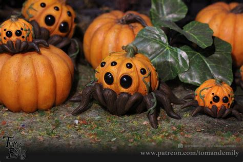 Pumpkin Spider Day One In Creation