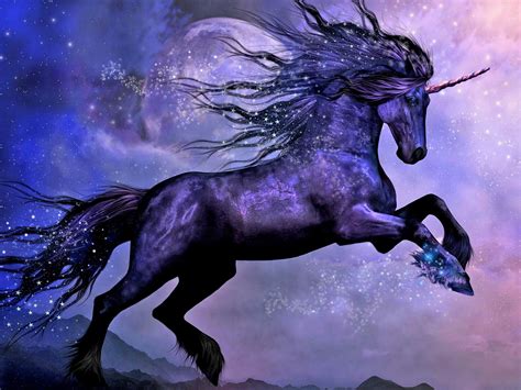 Fantasy Animals Unicorn Wallpaper Black Moon Night Wallpaperforu
